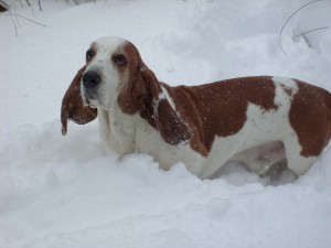 Charlie