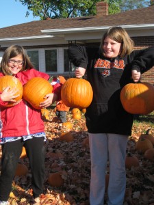 Pumpkin Palooza