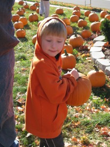 Pumpkin Palooza