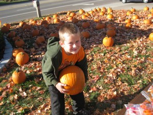 Pumpkin Palooza 